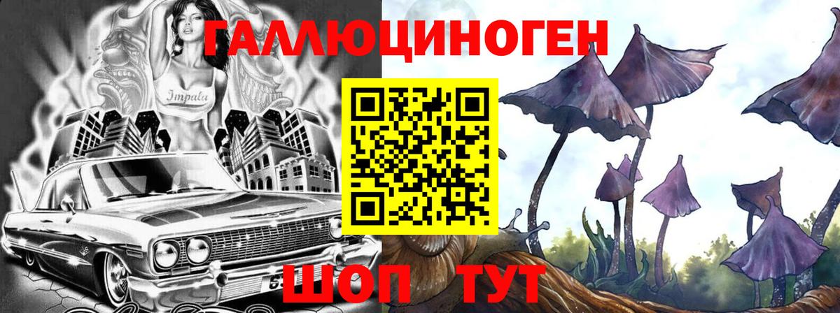Грязи  Псилоцибиновые грибы мицелий  Вход с VPN 
