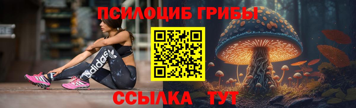 Галлюциногенные грибы MAGIC MUSHROOMS Грязи